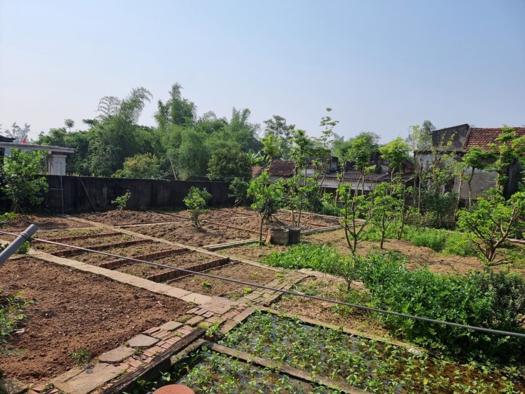 Thẩm quyền giải quyết tranh chấp đất đai mới nhất
